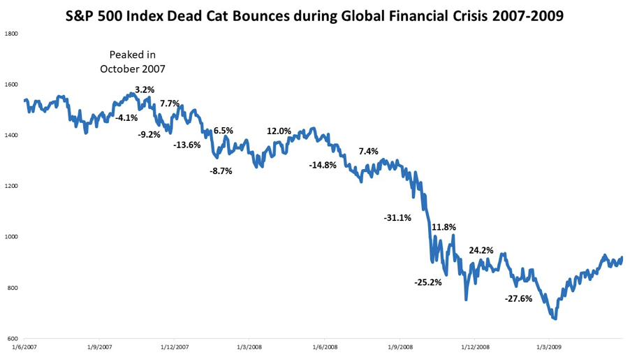 Dead Cat Bounce: Yay or Nay?