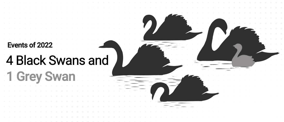 Four Black Swans and one Grey Swan for 2022 (Revised June 2022)