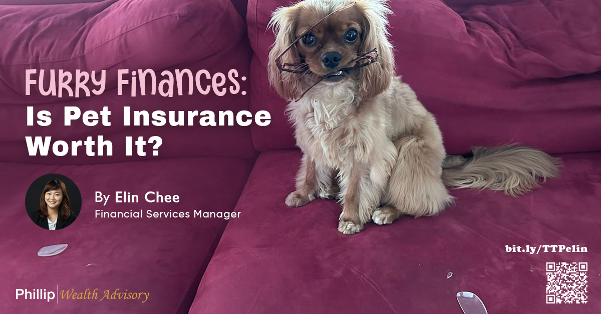Furry Finances: Is Pet Insurance Worth It?