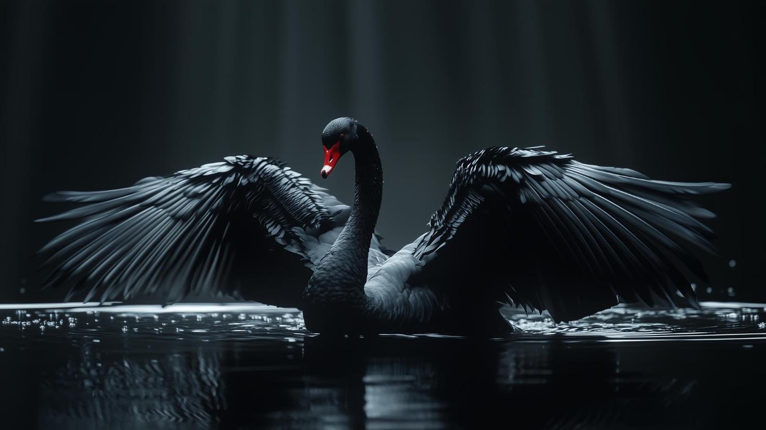 黑天鹅事件与应对策略：投资新手也能懂